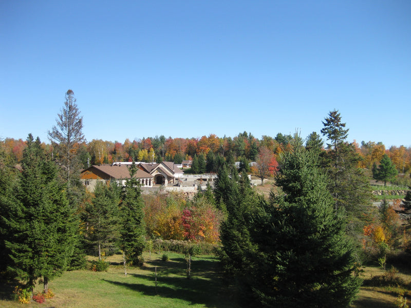 Affiliated Monasteries Photo Album