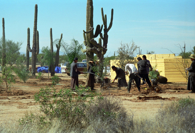 Early Construction Photo Gallery