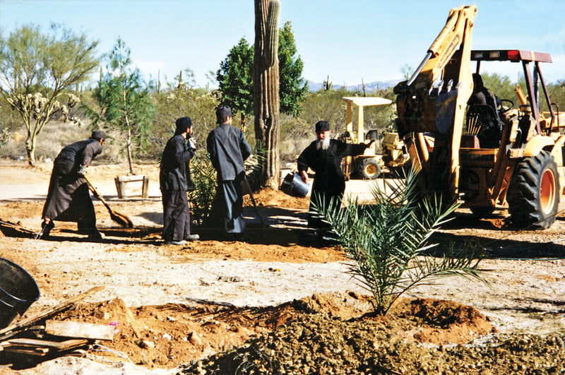 Early Construction Photo Gallery