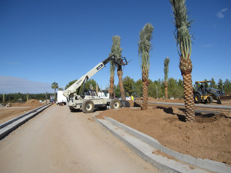 New Entrance 2021 Photo Album
