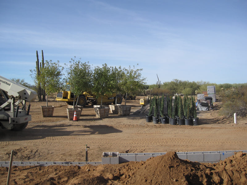 New Entrance 2021 Photo Album