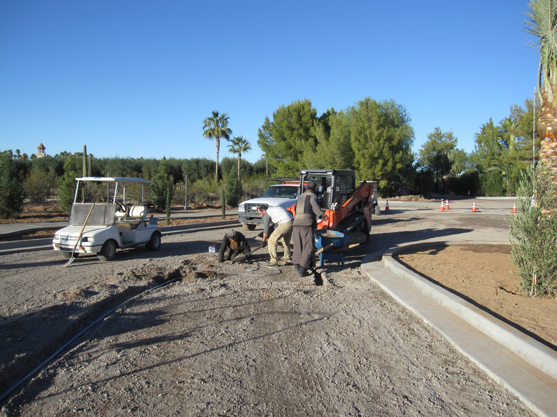 New Entrance 2021 Photo Album
