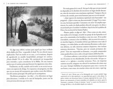 Φόρτωση εικόνας στο εργαλείο προβολής Συλλογής, El camino del peregrino (The Way of a Pilgrim in Spanish)
